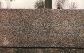 neu03.JPG